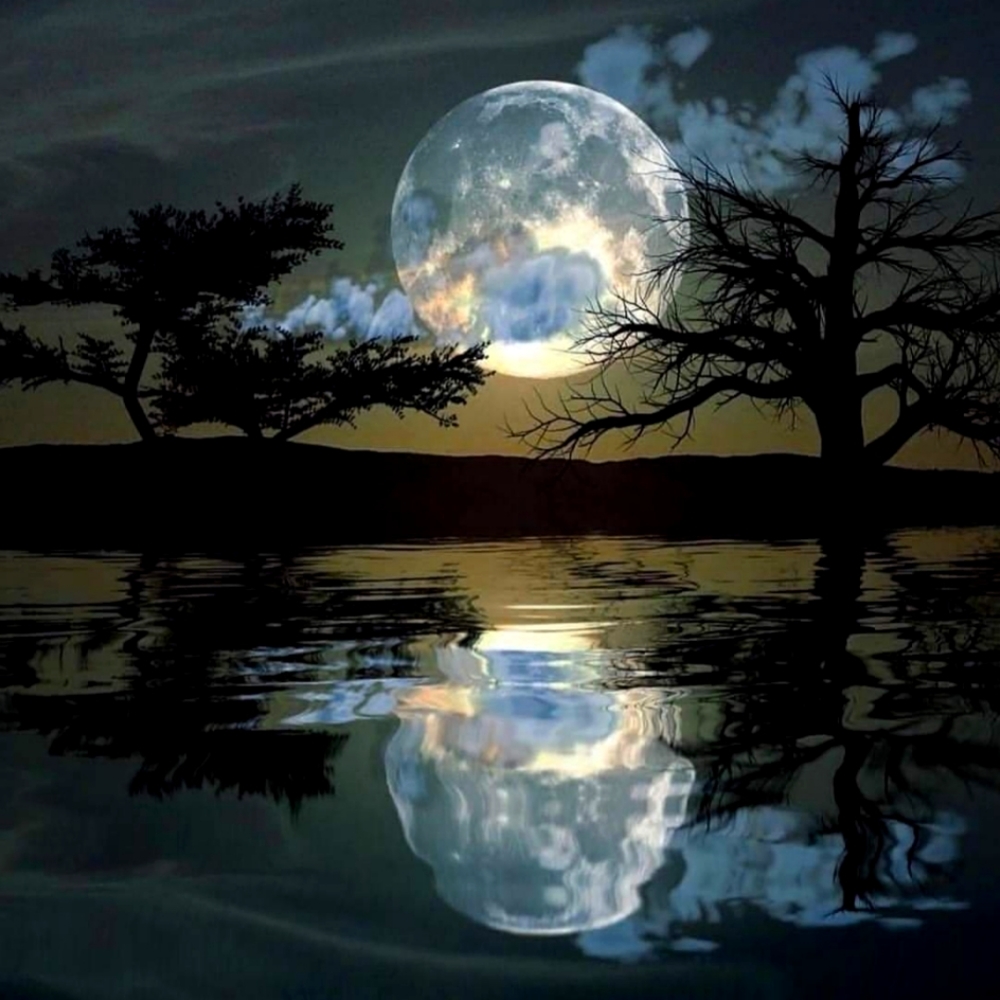 Meet your Posher, Tonya